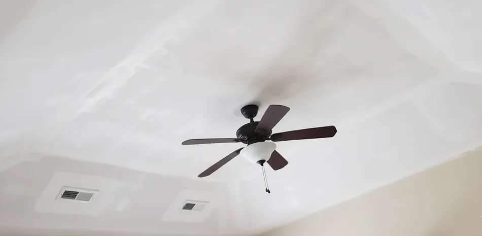 Ceiling Painting (Clearer)